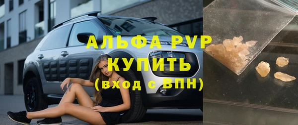 прущие грибы Магадан