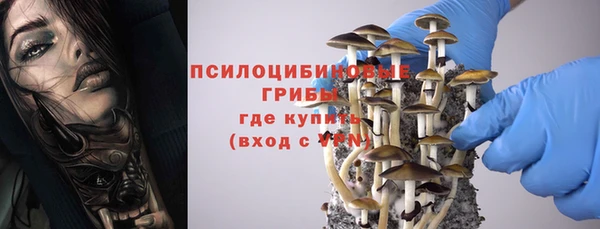 СК Магас