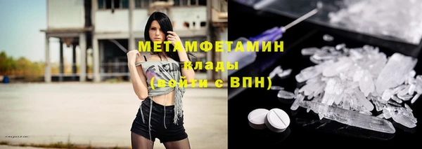 прущие грибы Магадан