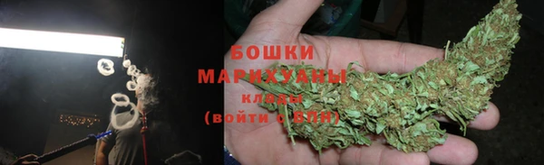 прущие грибы Магадан