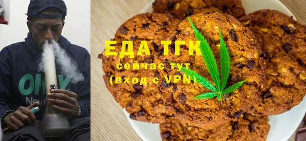 прущие грибы Магадан