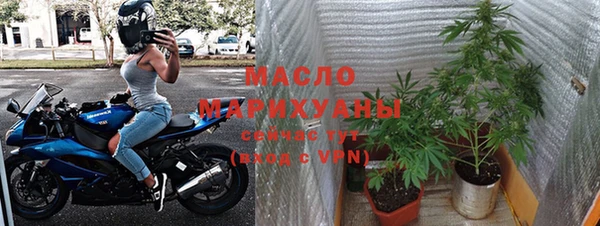 прущие грибы Магадан