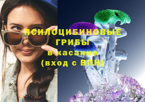 СК Магас