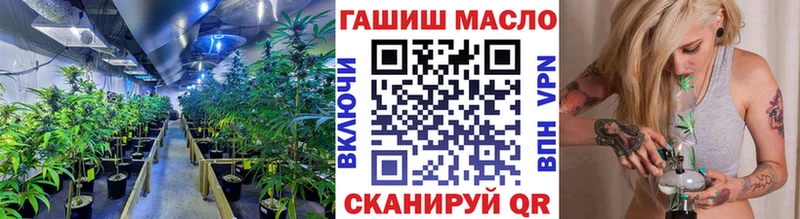 Купить  Заречный  ТГК концентрат 
