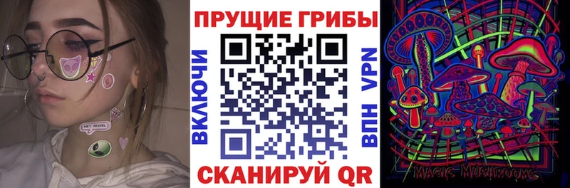 Купить  Заречный  Псилоцибиновые грибы Cubensis 